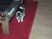 Thumbs/tn_Jacky 025.jpg
